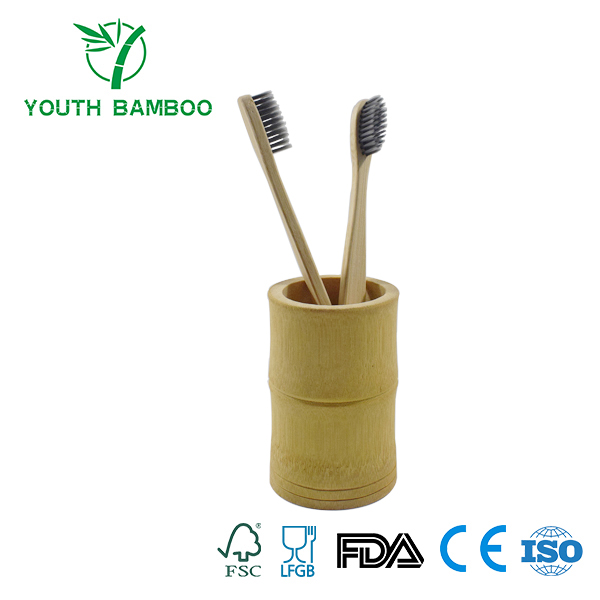 Bamboo Toothbrush With Holder